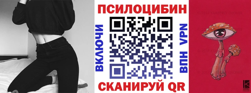 гидра ТОР  Высоковск  Галлюциногенные грибы GOLDEN TEACHER 